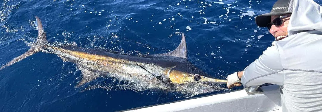 Offshore fishing charter