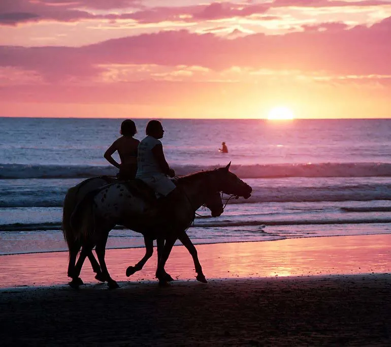Sunset horseback ride on the beach