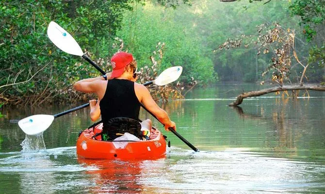 Kayaking the Nosara River estuary