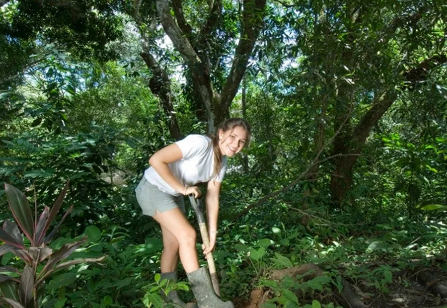 Reforestation tree-planting experience in the jungle