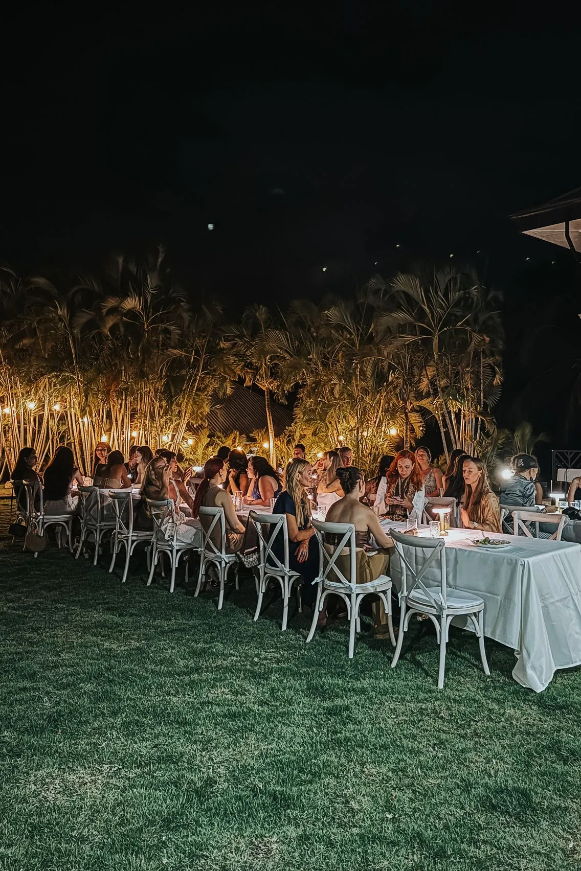 Candlelit reception dinner under the palms
